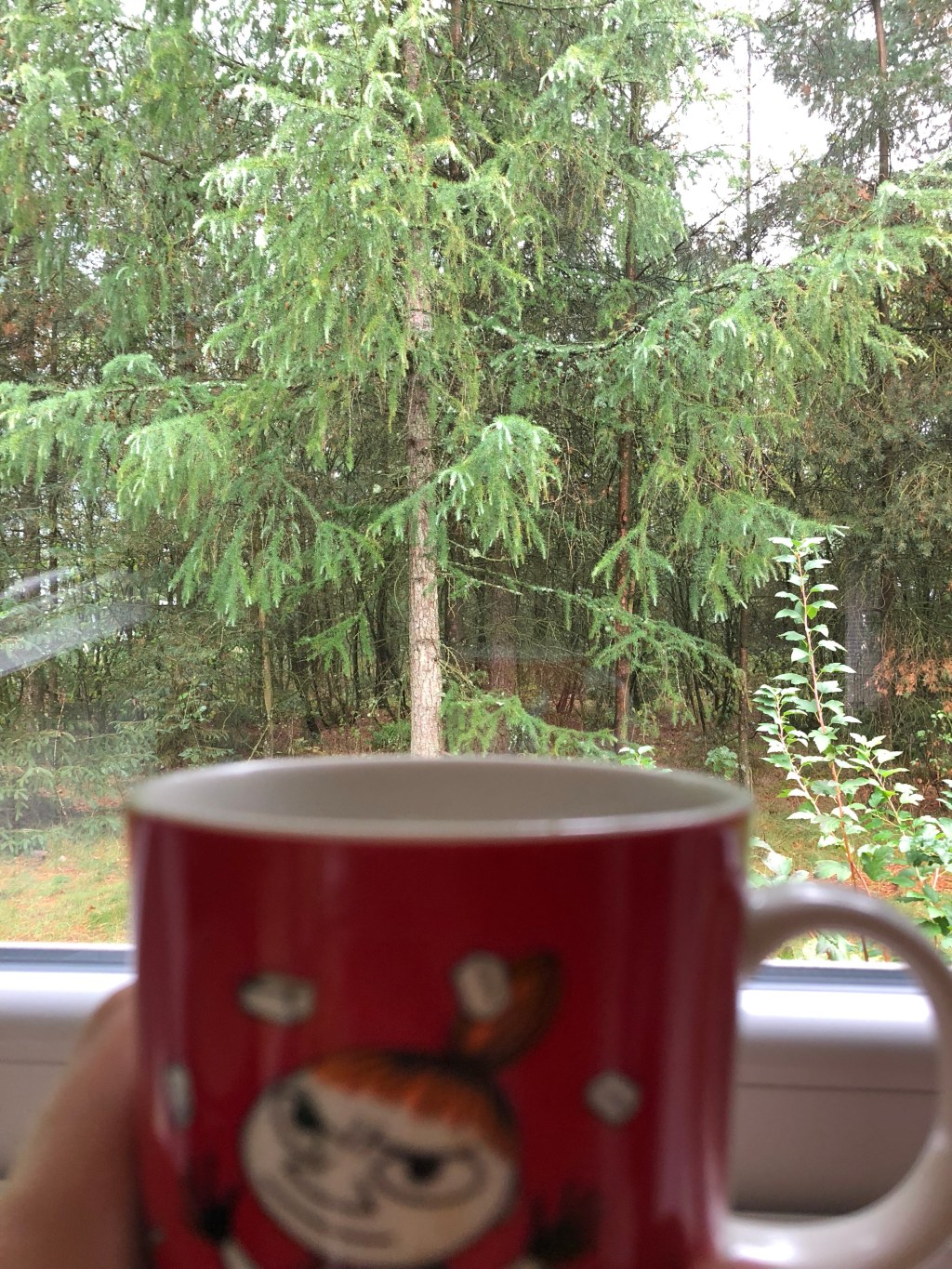 Here comes the rain&nbsp;again