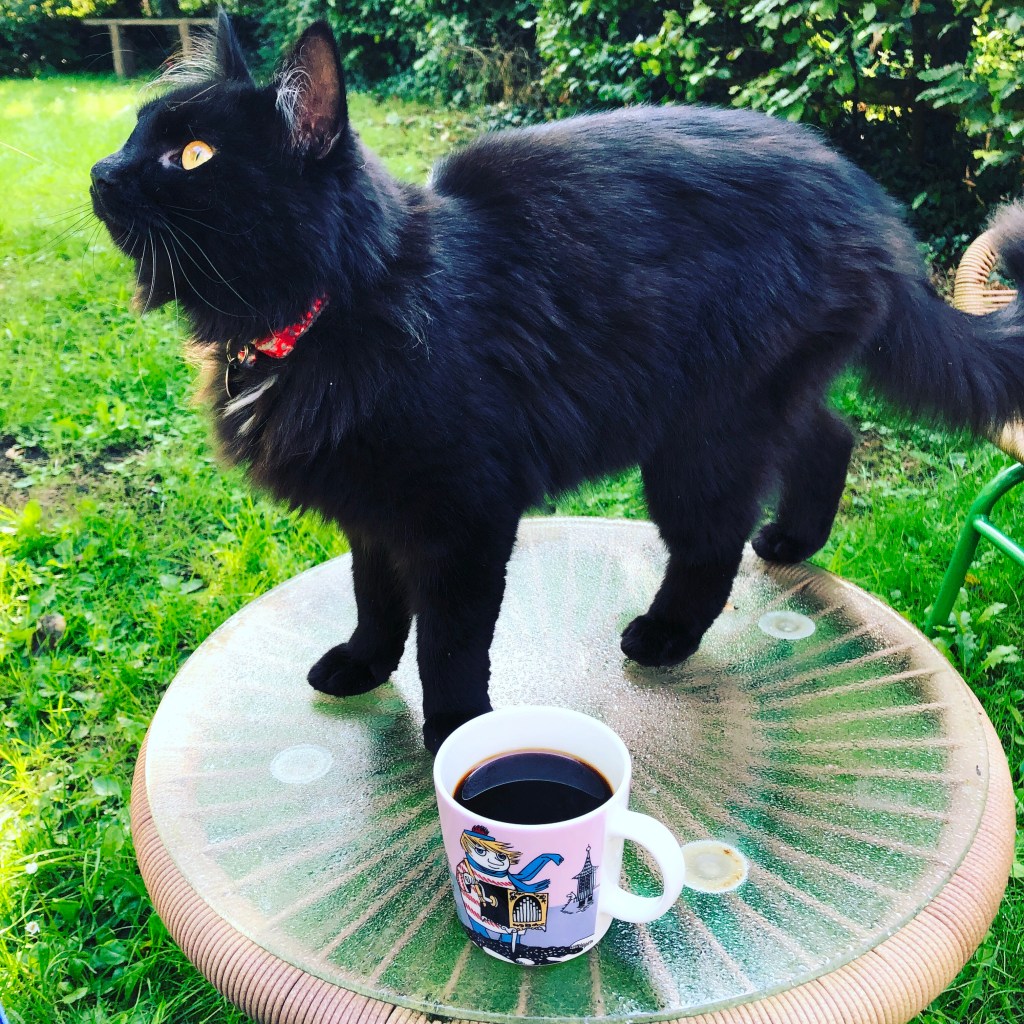 A change isn’t as good as a rest but it’s probably more&nbsp;fun