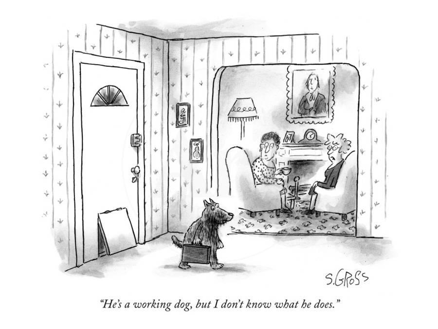 Back in the&nbsp;Saddle